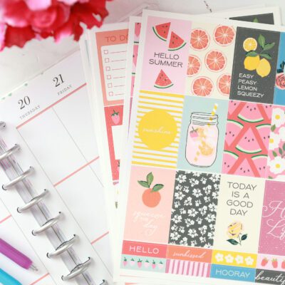 Squeeze the Day Planner Bundle